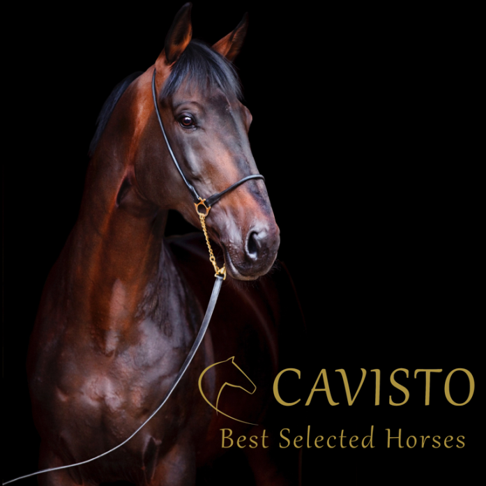 CAVISTO Crowdinvesting bei CONDA