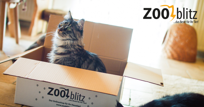 Zooblitz Crowdinvesting pusht Umsatz
