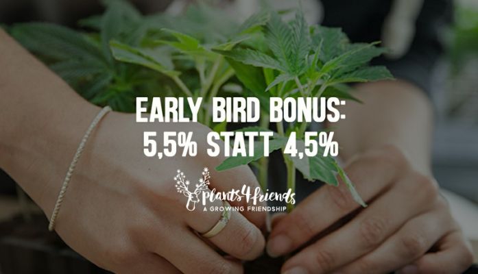 early_bird_plants4friends