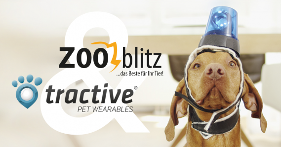 Zoo Blitz Zoo Blitz