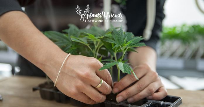 plants4friends