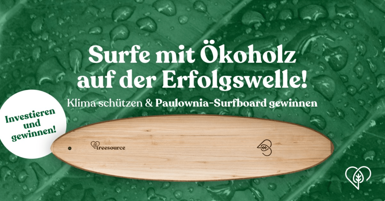Gewinnen Sie ein Surfbrett aus Paulownia-Holz