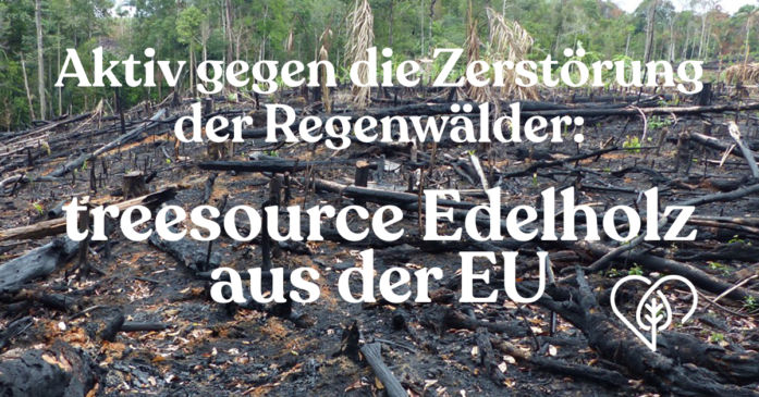 Treesource: Aktiv gegen die Zerstörung des Regenwaldes vorgehen