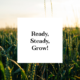 Conda crowdinvesting markta