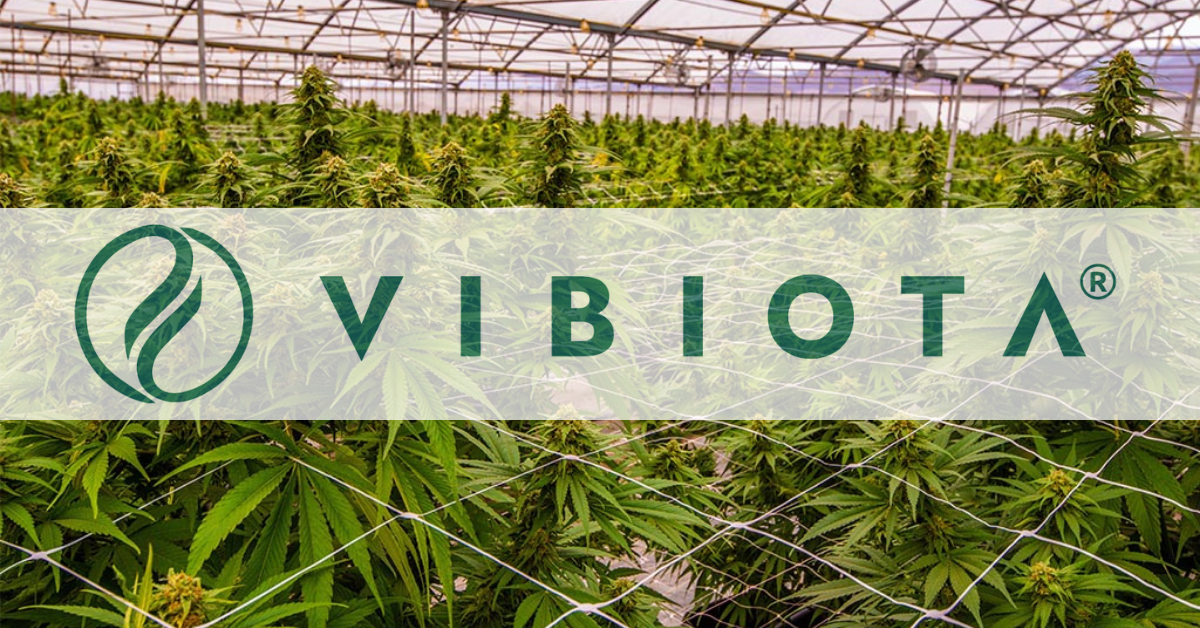 VIBIOTA CONDA Crowdinvesting investieren